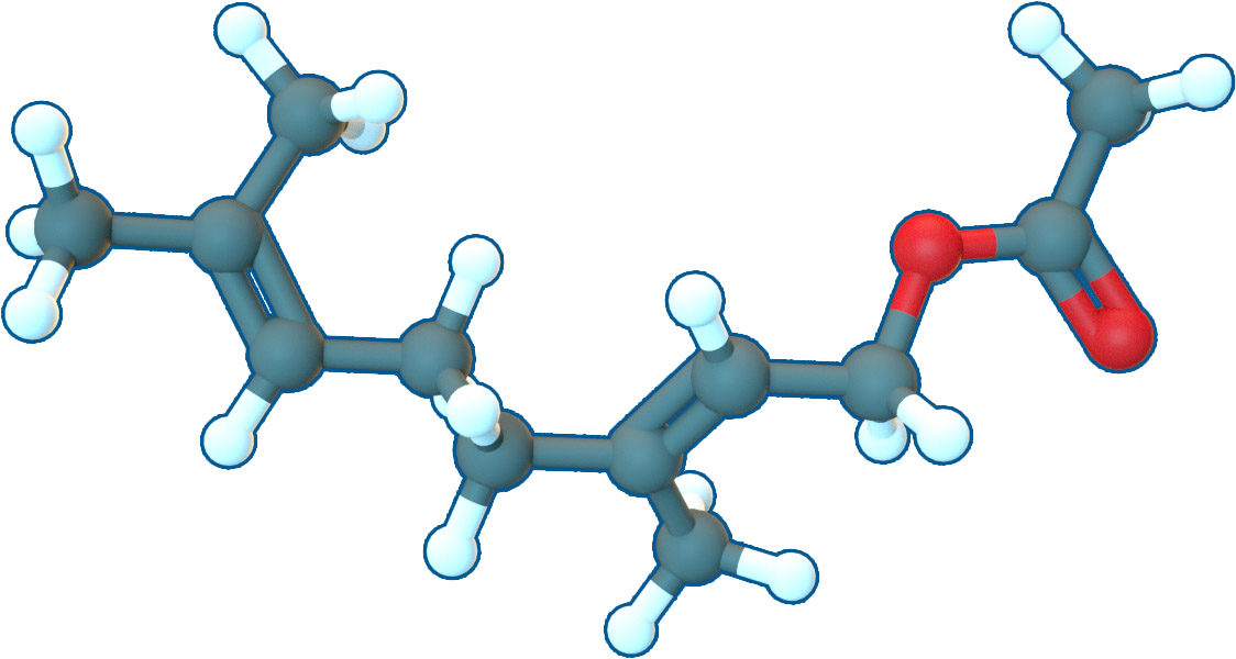 Image of Geranyl acetate | C12H20O2 | Supreme Pharmatech